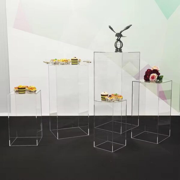 Clear Acrylic Plinths - Image 6