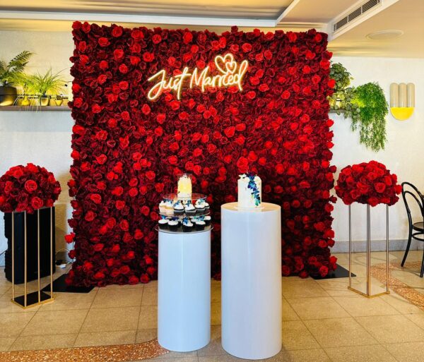 Backdrop Stand- Heavy Duty Aluminum (3m x 3m)